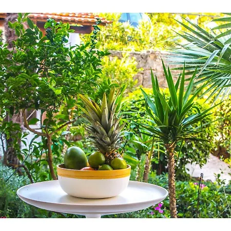 Garden Residence - Modern, Spacious, Nice View